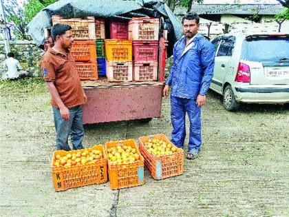 Pimpalgaon markets tomatoes | पिंपळगाव बाजारात टमाट्याला लाली