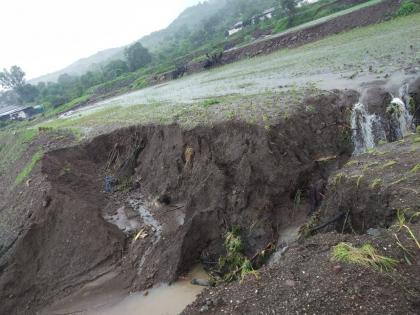 Damage to large paddy fields due to heavy rainfall | अतिवृष्टीने मोठ्या प्रमाणात भात शेतांचे नुकसान