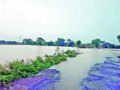 Damage to crops in Sakuri area | साकुरी परिसरात पिकांचे नुकसान