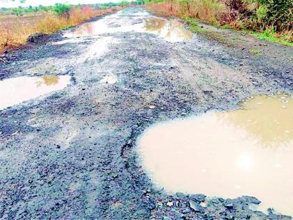 Khedadaraj on the roads in the Mozzhi area | मोझरी परिसरातील मार्गांवर खड्डाराज