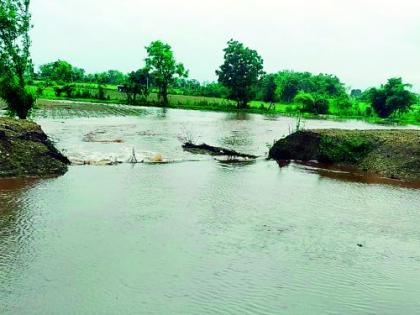 Heavy batting of rain; Heavy rains in Wani, Maregaon | पावसाची दमदार बॅटिंग; वणी, मारेगावमध्ये अतिवृष्टी