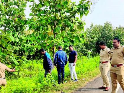 Night thrills at Satyagrahi Ghat; After killing the driver and stealing the truck, there is excitement in the area | सत्याग्रही घाटात रात्रीचा थरार; चालकाची हत्या करून ट्रक नेला चोरून, परिसरात खळबळ