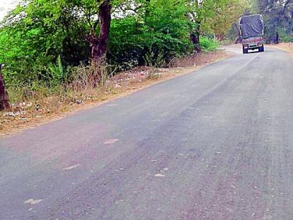 Amravati-Chandur railway state highway leads to death trap for wildlife | अमरावती-चांदूर रेल्वे राज्य महामार्ग ठरतोय वन्यप्राण्यांसाठी मृत्यूचा सापळा