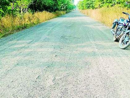 The road from Haidatpur to Asegaon is fatal | हैदतपूर ते आसेगाव रस्ता जीवघेणा The road from Haidatpur to Asegaon is fatal | हैदतपूर ते आसेगाव रस्ता जीवघेणा