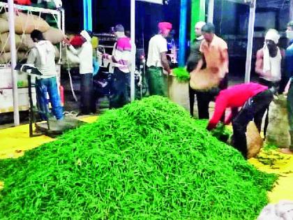 Green chili ; Got a 'recordbreak' price | हिरवी मिरची तिखट; मिळाला ‘रेकार्डबे्रक’ भाव Green chili ; Got a 'recordbreak' price | हिरवी मिरची तिखट; मिळाला ‘रेकार्डबे्रक’ भाव