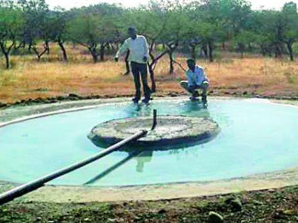 Wildlife craving for drinking water | पाणवठे भागवताहेत वन्यप्राण्यांची तृष्णा