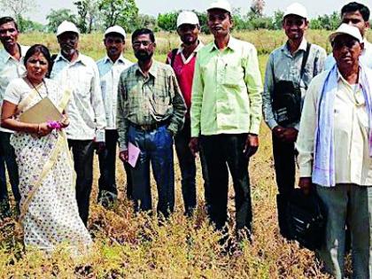 Organic farming requires time | सेंद्रिय शेती काळाची गरज