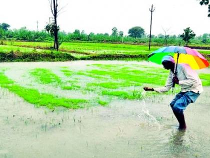 Farmers are happy! Ten days later Varun Raja was pleased | शेतकरी सुखावला! दहा दिवसानंतर वरुणराजा प्रसन्न