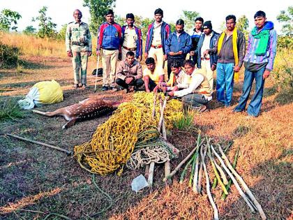 Chitala hunting in Lakhandur forest | लाखांदूर जंगलात चितळाची शिकार