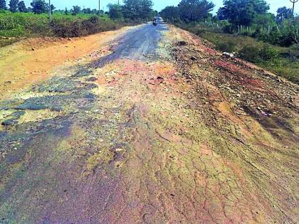 The plight of the Rajura-Gadchandur-Parsoda inter-state road | राजुरा-गडचांदूर-परसोडा आंतरराज्यीय मार्गाची दुर्दशा