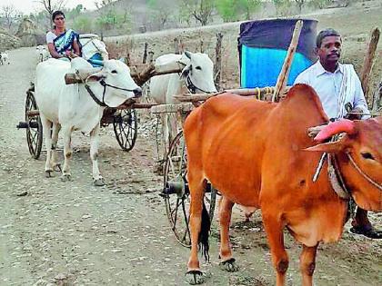 Seedling of water | पाण्यासाठी सेवादासनगरवासीयांची ससेहोलपट