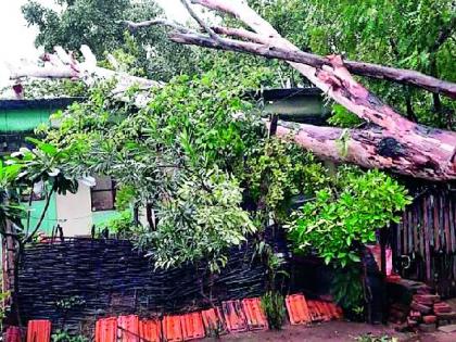 The rains overwhelmed the farmers | संततधार पावसाने शेतकरी वैतागले