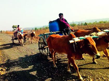 Baldandi brings water from Telangana | सेवादासनगरवासी बैलबंडीने आणतात तेलंगणातून पाणी