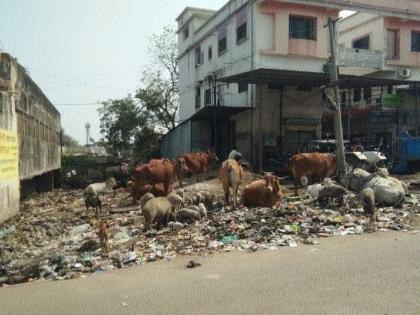 The message on the walls, however, is unclear in the city | भिंतींवर संदेश, शहरात मात्र अस्वच्छता