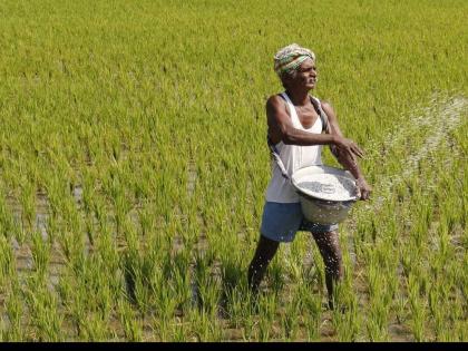 The farmer was frightened by the cloudy weather | ढगाळ वातावरणामुळे शेतकरी धास्तावला