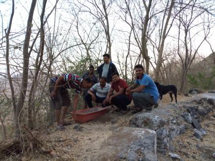 Animals from Nandurya for cattle, water management | नांदुरीतील युवकांकडून पशूपक्षांसाठी दाणा, पाण्याची व्यवस्था