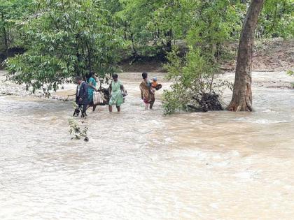 flood situation in the southern part of Gadchiroli district | गडचिरोली जिल्ह्याच्या दक्षिण भागात पूरस्थिती