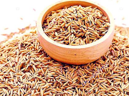 Distribution of 662 quintals of seeds on subsidy | ६६२ क्विंटल बियाण्यांचे अनुदानावर वितरण Distribution of 662 quintals of seeds on subsidy | ६६२ क्विंटल बियाण्यांचे अनुदानावर वितरण