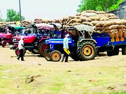 Marketing Federation works by buying paddy! The process of action begins | धान खरेदीने मार्केटिंग फेडरेशन काेमात ! कारवाईची प्रक्रिया सुरु