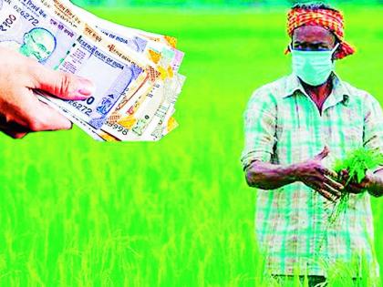 55 thousand farmers lost Rs 328 crore | 55 हजार शेतकऱ्यांचे 328 कोटी रुपयांचे चुकारे थकले