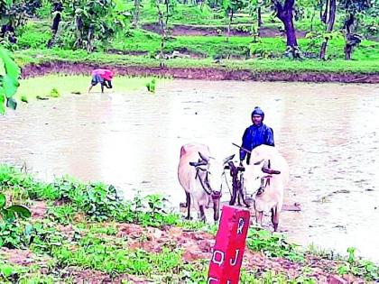 District Olachimb | जिल्हा ओलाचिंब