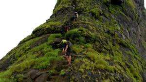  Harihar fort of Trimbakeshwar taluka is closed for three months for tourists! | त्र्यंबकेश्वर तालुक्यातील हरिहर किल्ला तीन महिने पर्यटकांना बंद !