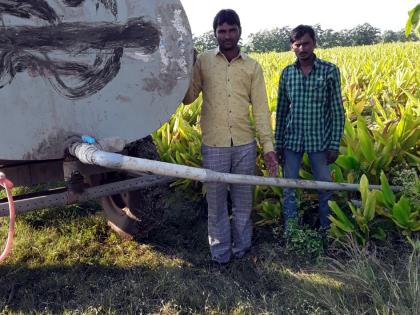  Water tanker to survive turmeric | हळद जगवण्यासाठी टँकरने पाणी