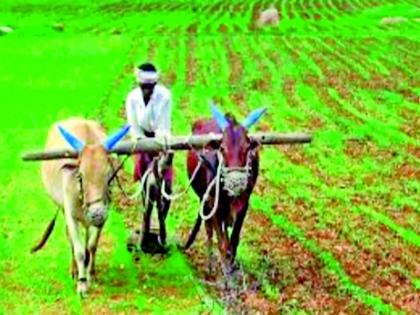  On fertilizer-seed dam for kharif | खरिपासाठी खते-बियाणे बांधावर