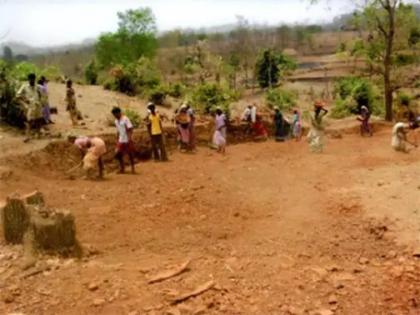 The wages for tree planting in Mewasi forest department have been exhausted for four months | मेवासी वनविभागातील वृक्षारोेपनाची मजुरी चार महिन्यापासून थकली The wages for tree planting in Mewasi forest department have been exhausted for four months | मेवासी वनविभागातील वृक्षारोेपनाची मजुरी चार महिन्यापासून थकली