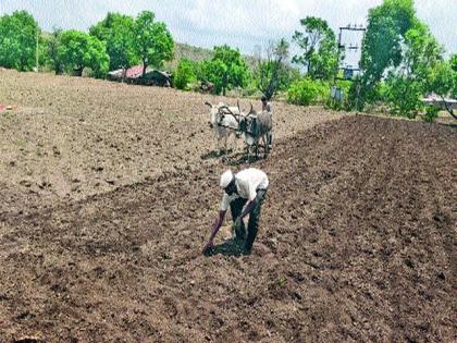 Accelerate agricultural cultivation in Dindori taluka | दिंडोरी तालुक्यात शेती मशागतीला वेग