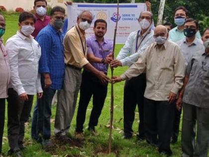 Plantation in memory of Tanajirao More | तानाजीराव मोरे यांच्या स्मरणार्थ वृक्षारोपण