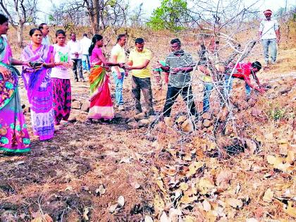 Mahaashmana blasted bugle | महाश्रमदानाचा फुंकला बिगूल