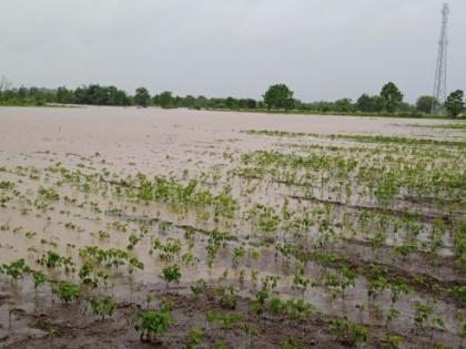 Gadchiroli, Chandrapur Gondia red alert; Heavy rains in 21 talukas of the division | गडचिरोली, चंद्रपूर, गोंदियाला रेड अलर्ट; नागपूर विभागातील २१ तालुक्यांत अतिवृष्टी