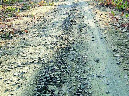  Eclipse in the sanctuary roads | अभयारण्यातील रस्त्यांना ग्रहण