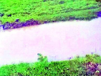 Water entered the cat farm | मांजरजवळा शेतशिवारात पाणी शिरले