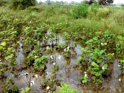 The loss of Rs 3,500 crore in the state due to return rains | परतीच्या पावसाने राज्यात साडेतीन हजार कोटींचे नुकसान