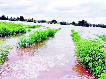 Flood in Arvi taluka | आर्वी तालुक्यात पुराचा हाहाकार