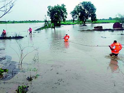 Orgy in the wake of torrential rains; Carrying three isms with ten cows | मुसळधार पावसाचे वर्ध्यात तांडव; दहा गायींसह तीन इसम गेले वाहून