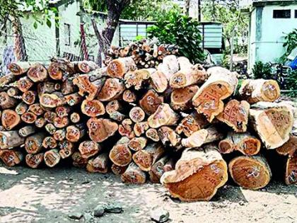 Deforestation with the permission of the forest department; However, the forest ranger reported the crime to the farmer | वनविभागाची परवानगी घेऊन वृक्षतोड; तरी वनरक्षकाने शेतकऱ्यावर नोंदविला वनगुन्हा