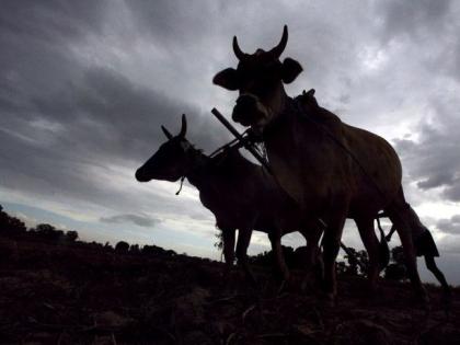 On 11th December, on the lines of the Winter Convention, a farmers' convention in Nagpur | हिवाळी अधिवेशनाच्या धर्तीवर ११ डिसेंबरला नागपुरात प्रति शेतकरी अधिवेशन