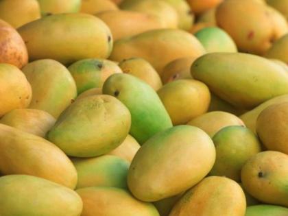 Due to the storm less mangoes in Nagpur market | नागपुरात आवक घटल्याने आंबा खातोय भाव