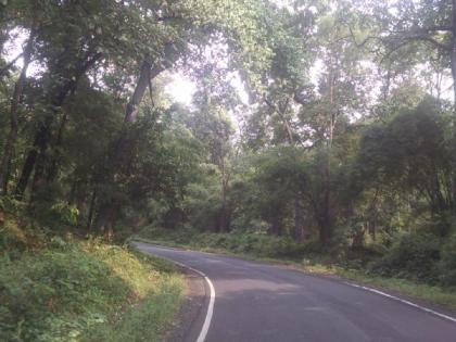 The width of the National Highway in Gadchiroli was caught 5.5 meters | गडचिरोलीत राष्ट्रीय महामार्गाची रूंदी अडकली ५.५ मीटरमध्ये