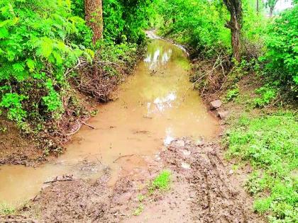 The paved roads are muddy | पांदन रस्ते चिखलात The paved roads are muddy | पांदन रस्ते चिखलात