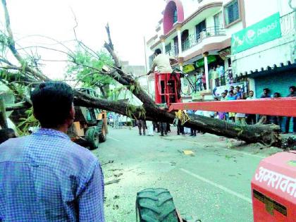 Windy rains on the auspicious time of the dead | मृगाच्या मुहूर्तावर वादळी पावसाचा तडाखा