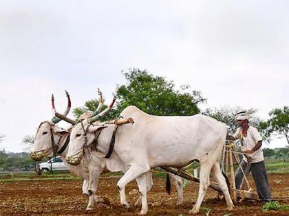 Only 17.30 percent of the crop in Beed allocated | बीडमध्ये केवळ १७.३० टक्के इतकेच पीककर्जाचे वाटप