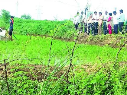 The farmer ran towards the district administration | शेतकऱ्याची जिल्हा प्रशासनाकडे धाव