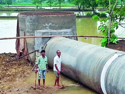 The water sits in the sack area | बोरी वितरिका फुटली शेतात शिरले पाणी