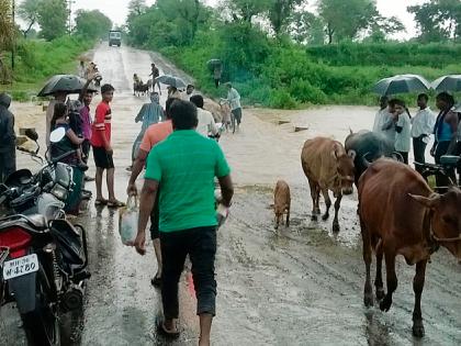 Gathering of rain gets light money | पावसाच्या हजेरीने हलक्या धानाला मिळाले जीवदान