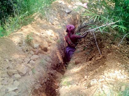 Digging in the forest without permission | परवानगी न घेता जंगलात खोदकाम