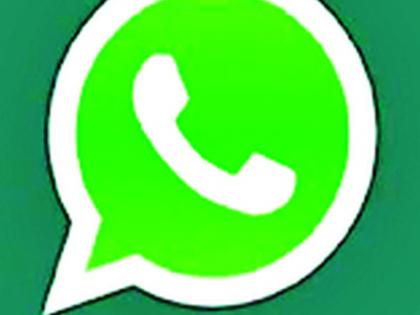 'Whatsapp' agitation for pigs settlement | डुकरांच्या बंदोबस्तासाठी ‘व्हॉट्सअॅप’ आंदोलन 'Whatsapp' agitation for pigs settlement | डुकरांच्या बंदोबस्तासाठी ‘व्हॉट्सअॅप’ आंदोलन